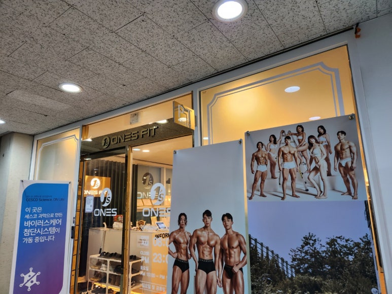 원스피티 이미지