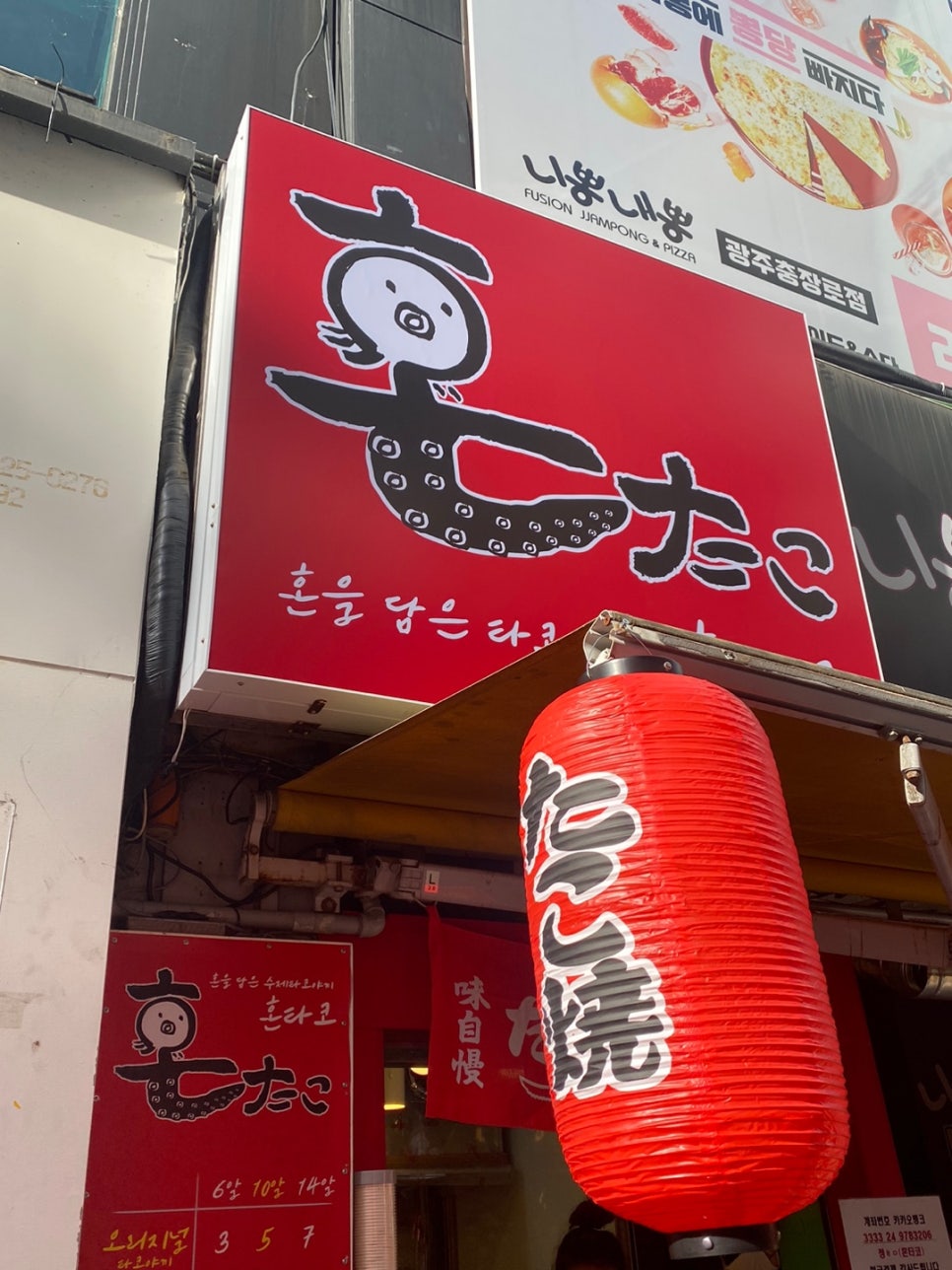 혼타코 이미지