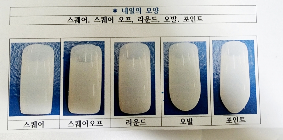 빽쌤뷰티교육연구소 이미지