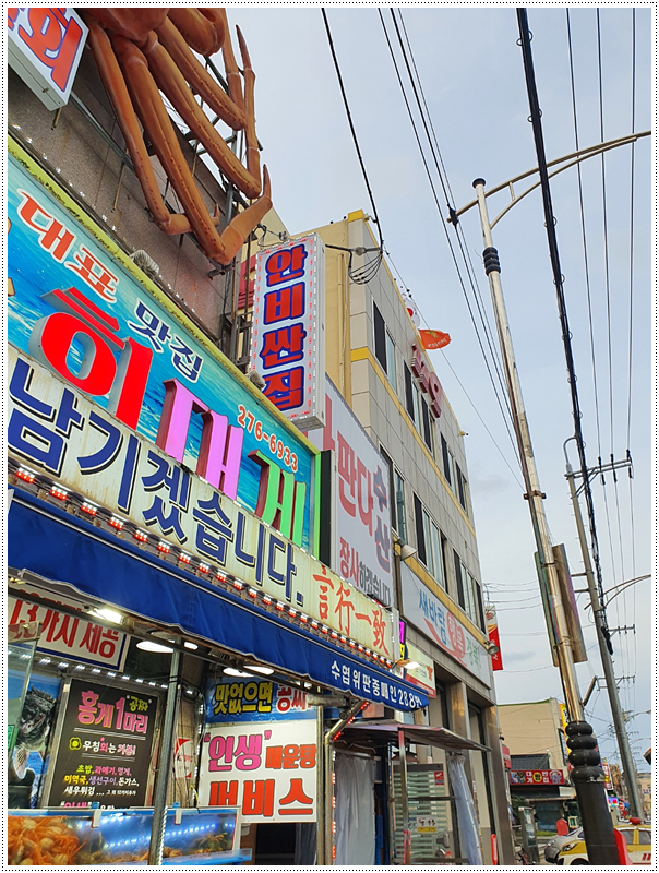 영일만회대게 이미지