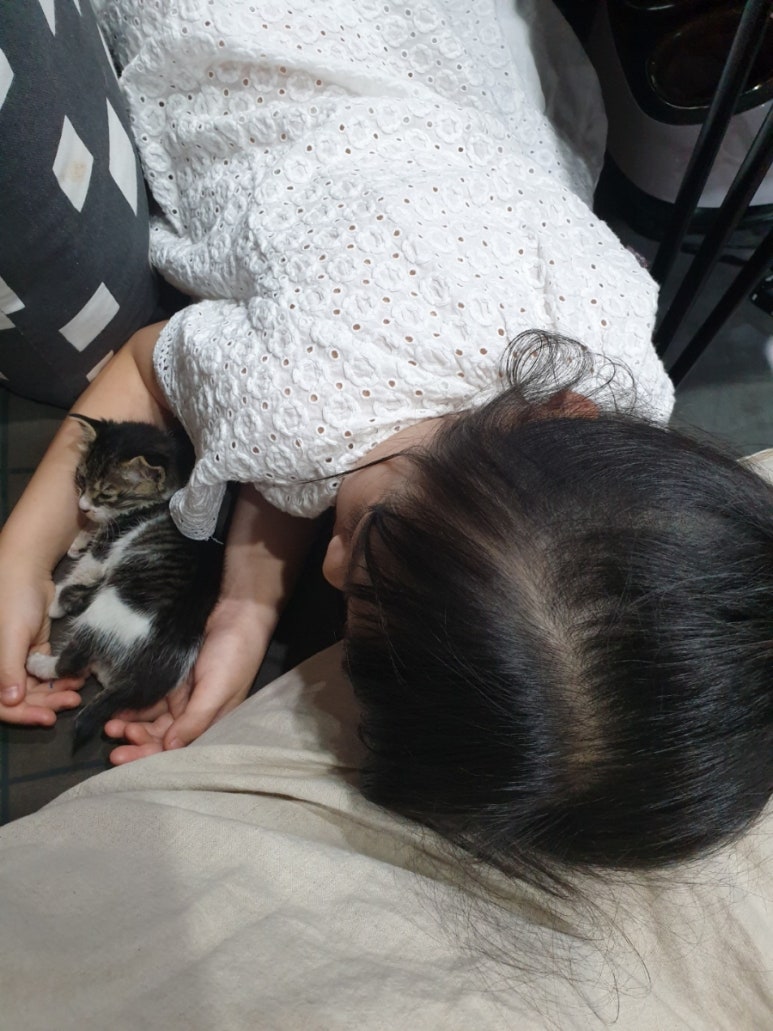 맘스터치경산역점 이미지