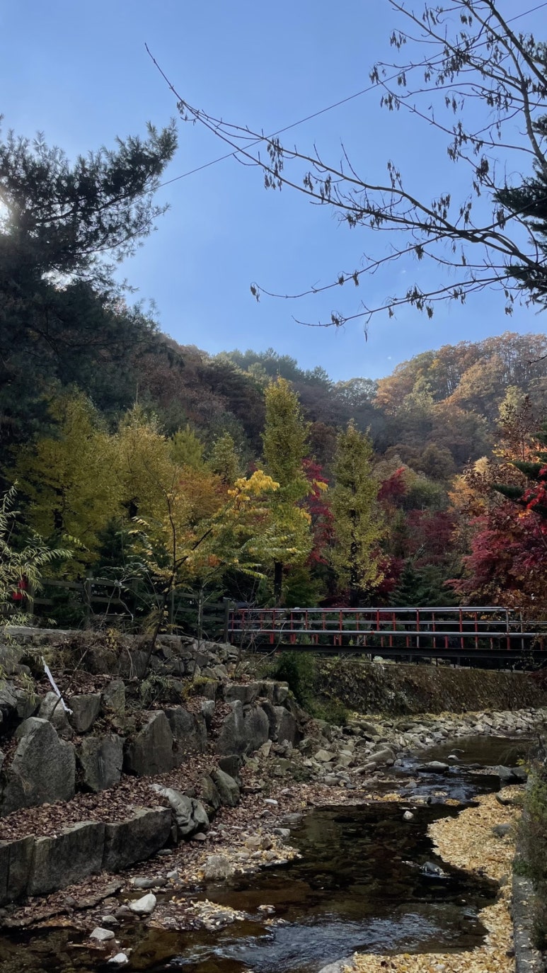 파랑새둥지 이미지