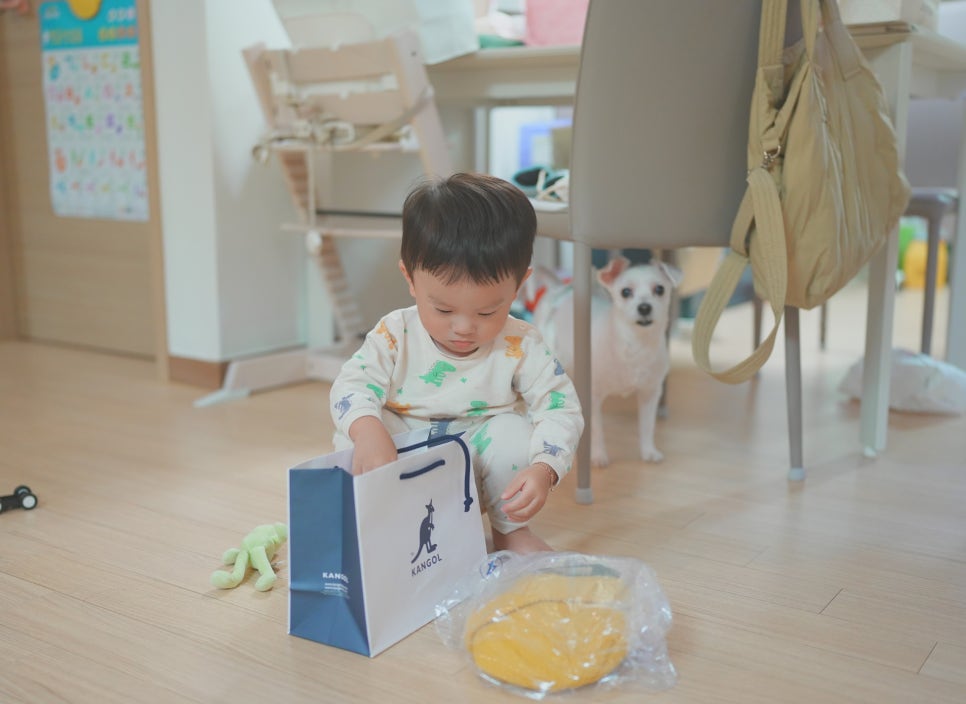 캉골현대 이미지