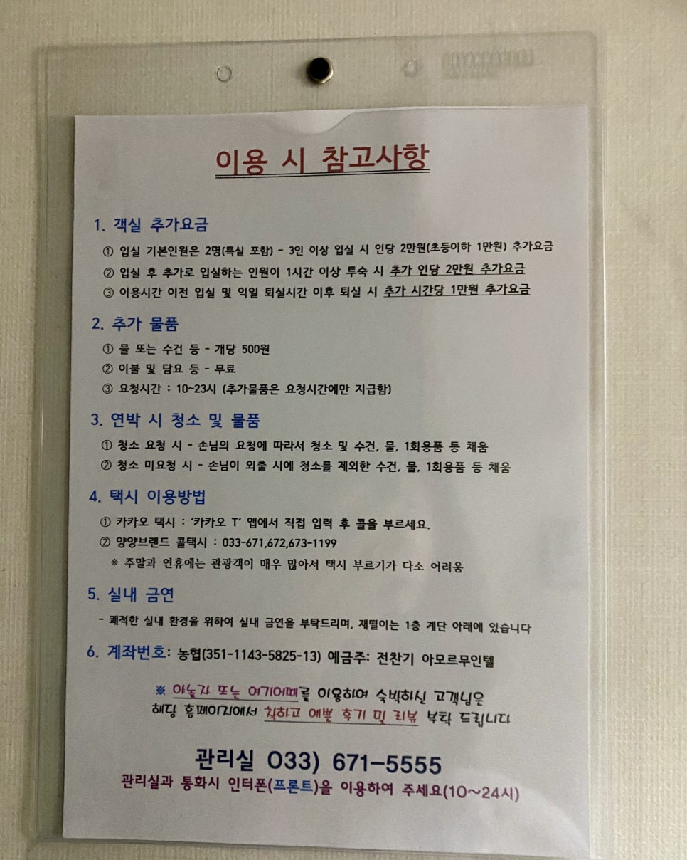 아모르무인텔 이미지