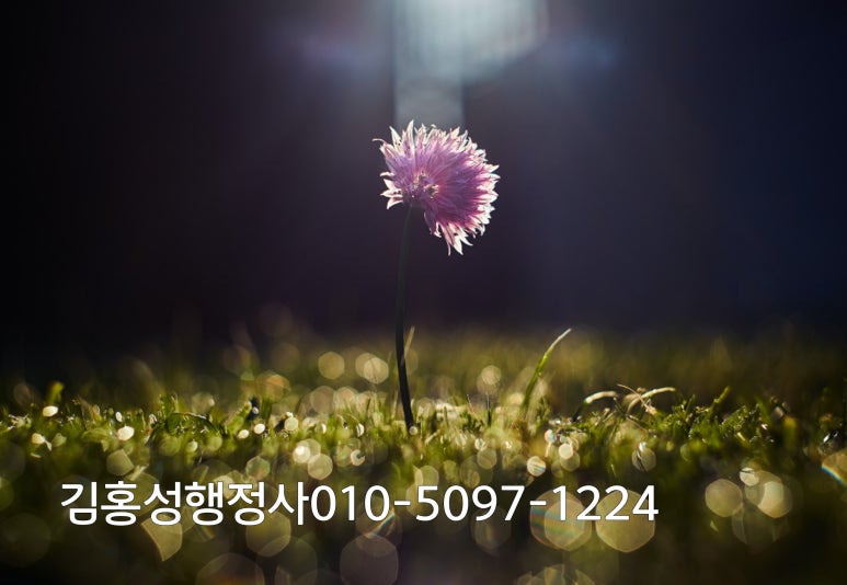 건축물 일반 청소업 이미지