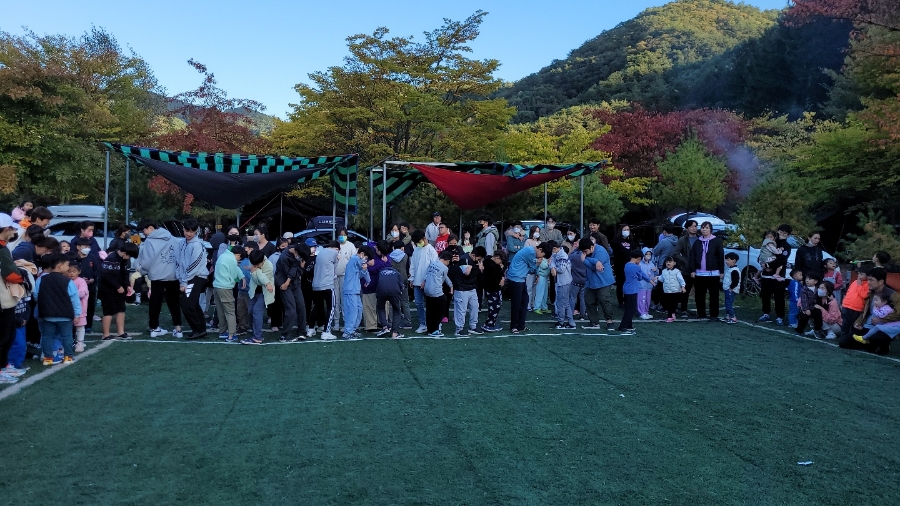 강원도힐링캠핑장 이미지