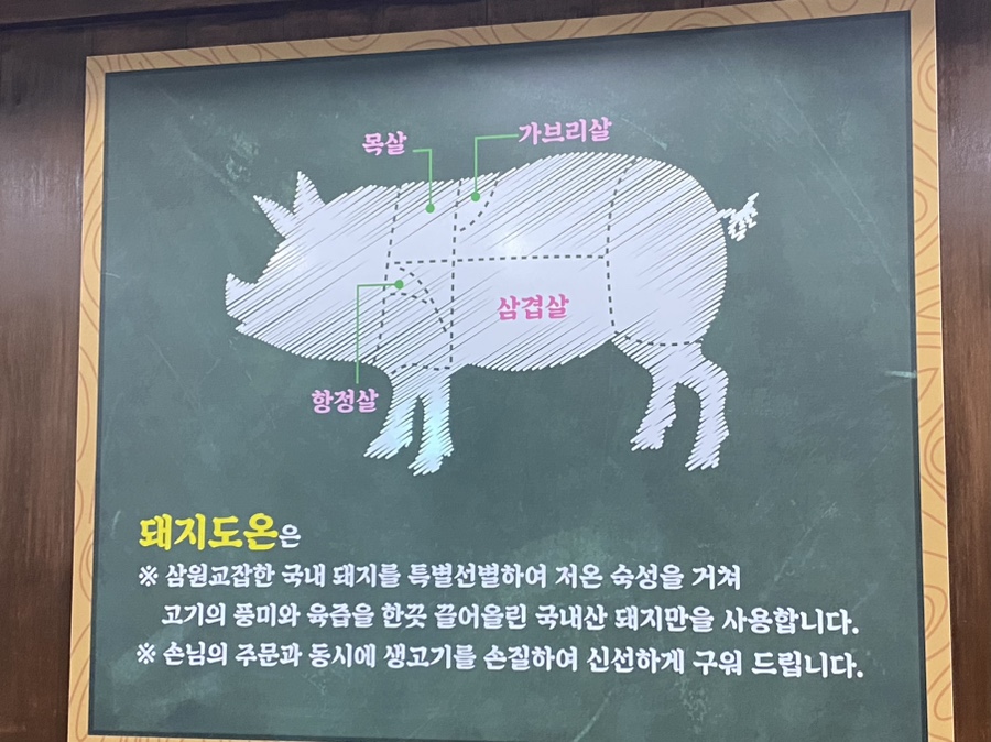 돼지도온 이미지