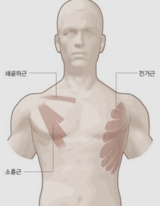 어시스트짐 이미지