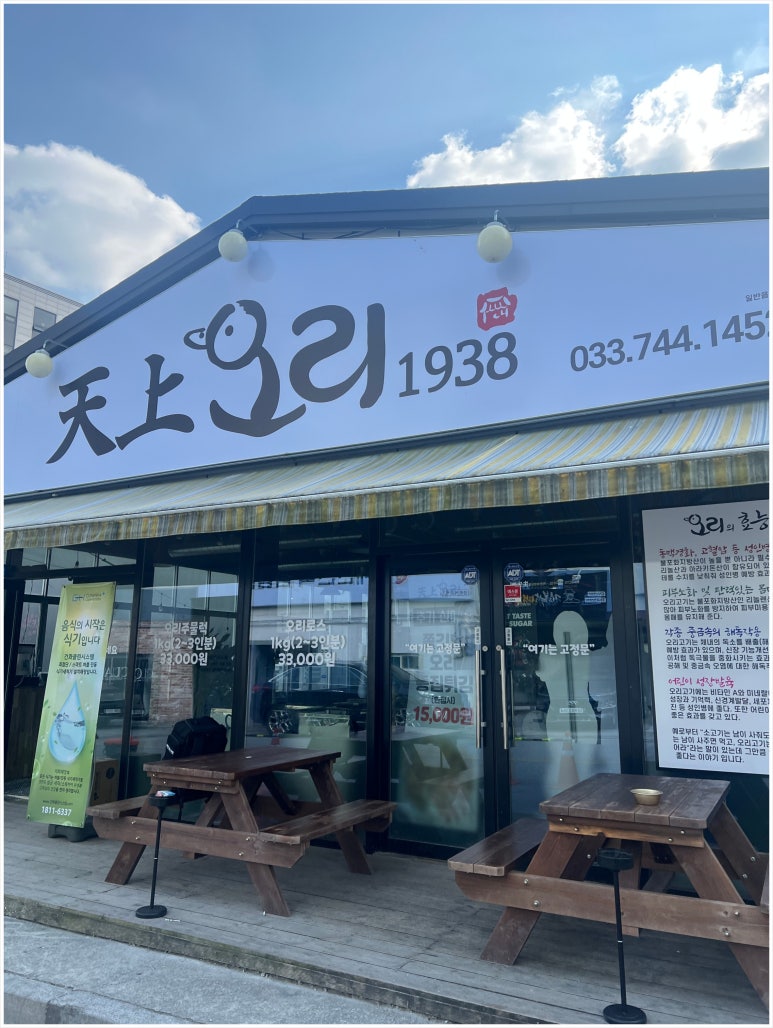 천상오리 이미지