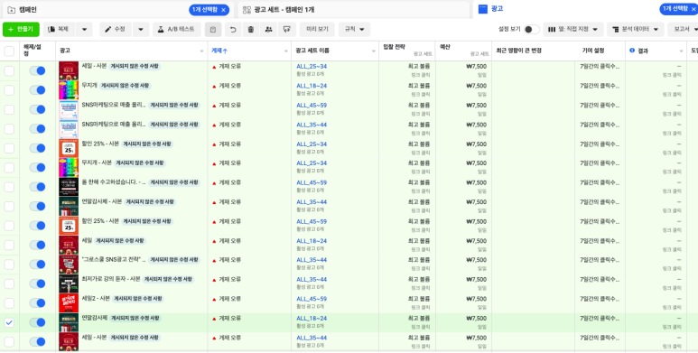 로아스마케팅 이미지