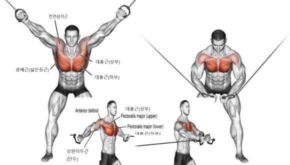노블레스짐 이미지