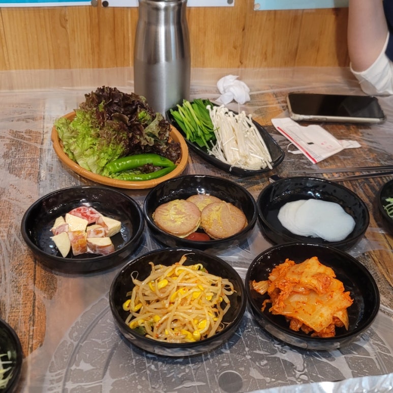 코보냉삼 이미지
