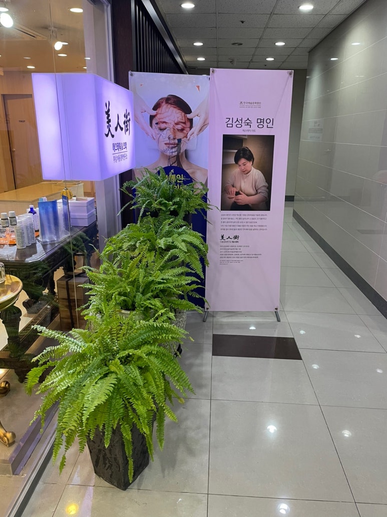 백에스테틱 이미지