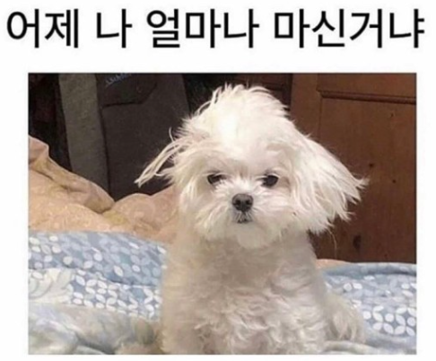 한국폴리텍대학충주캠퍼스 이미지