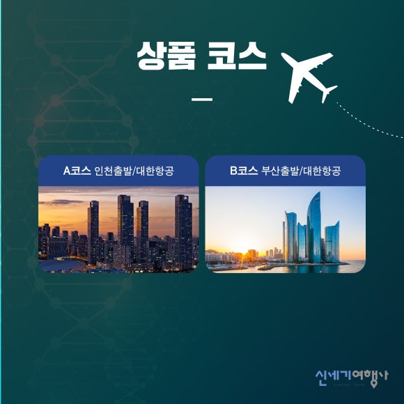 세기국제여행사 이미지
