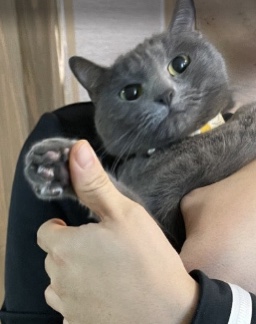 우루룽 이미지