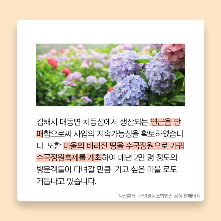수안영농조합법인 이미지