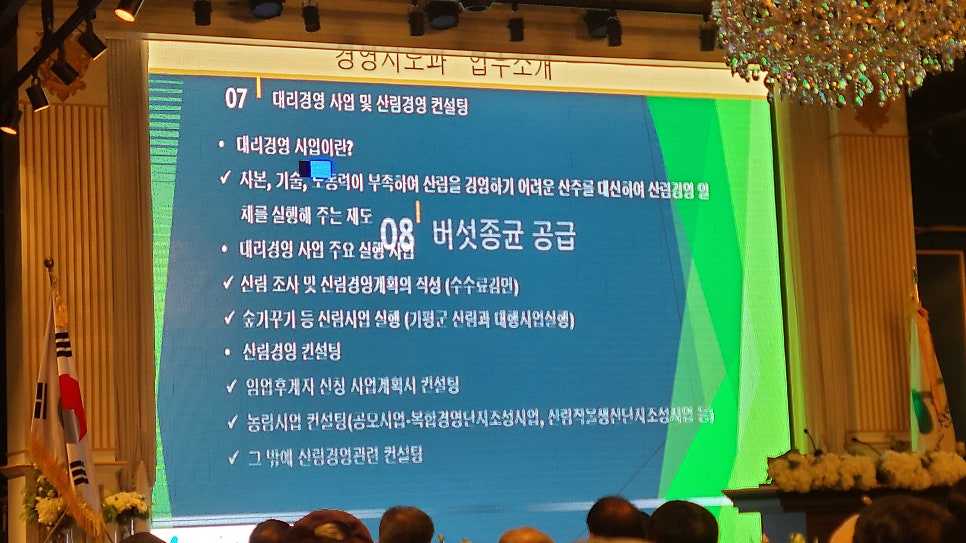 그린컴퓨터세탁 이미지