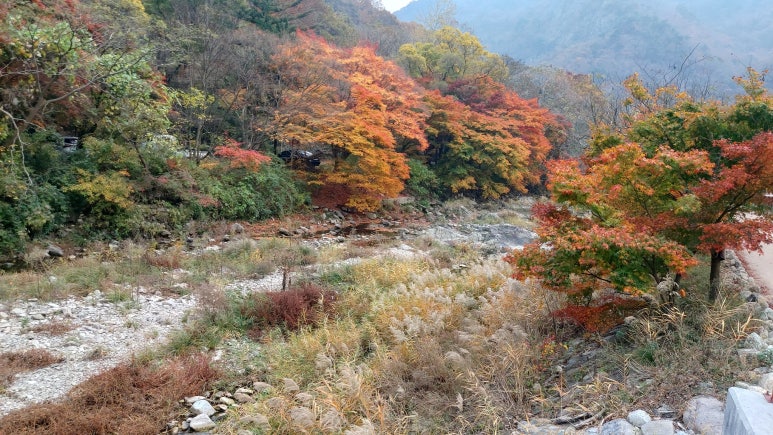 해오름황토펜션형민박 이미지