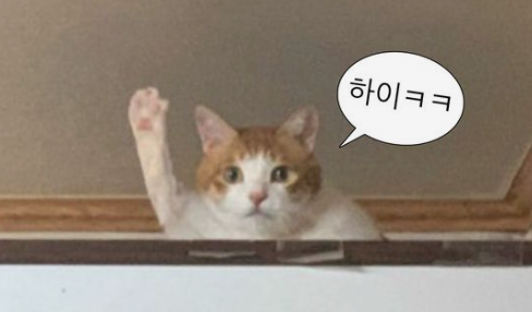 줌광고기획 이미지