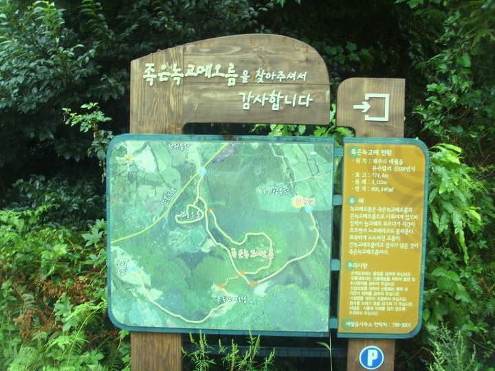휘석지질 이미지