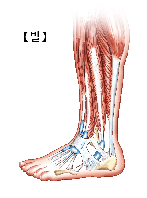 투모어휘트니스구암 이미지