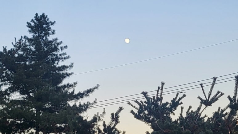 신용정육점 이미지