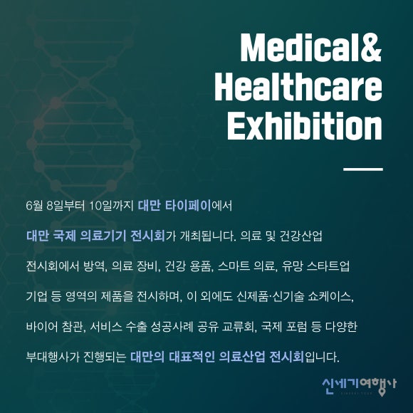 세기국제여행사 이미지