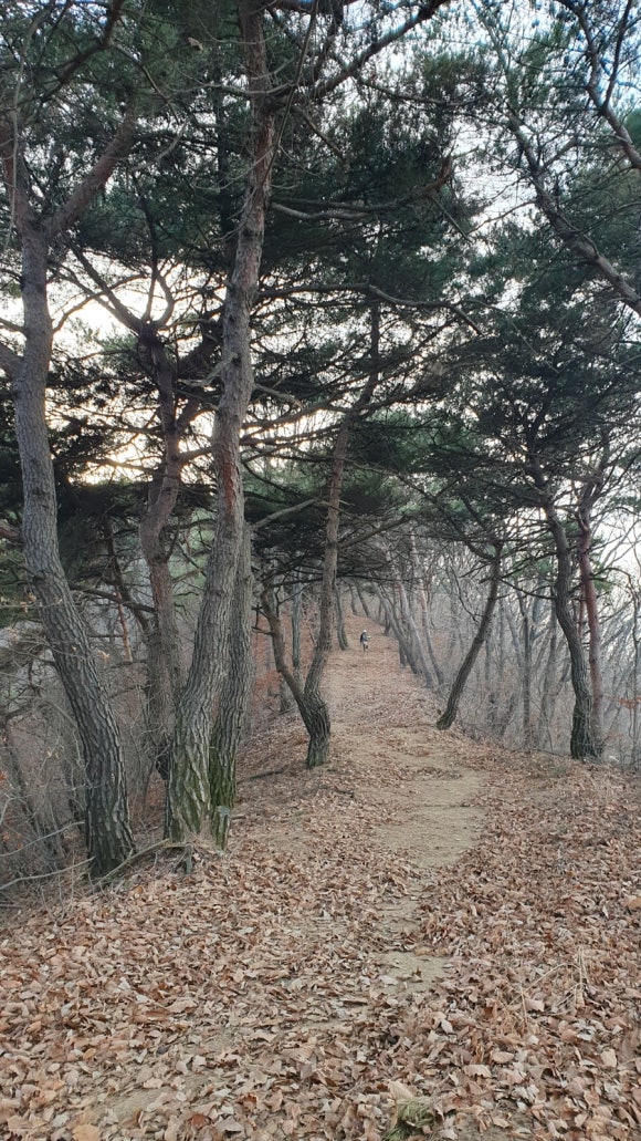 고라니봉 이미지