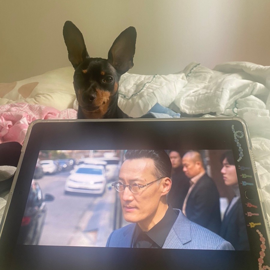 토토노래연습장 이미지