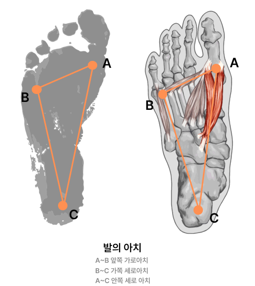 투모어휘트니스구암 이미지