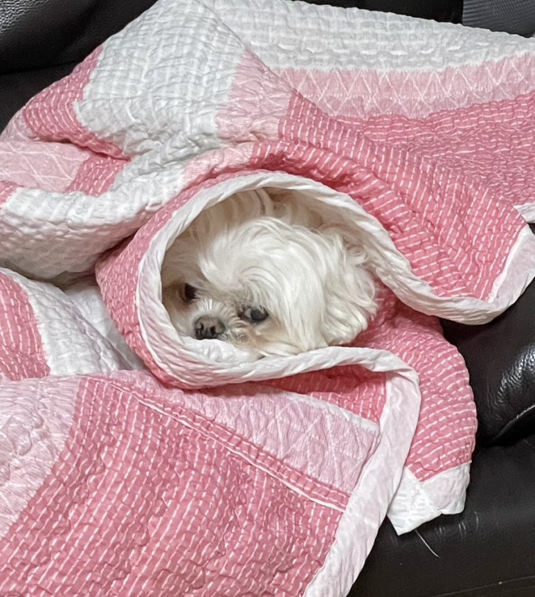 진명식당 이미지