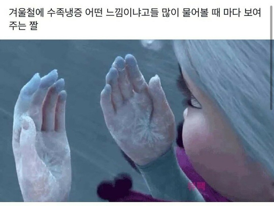 수족발 이미지