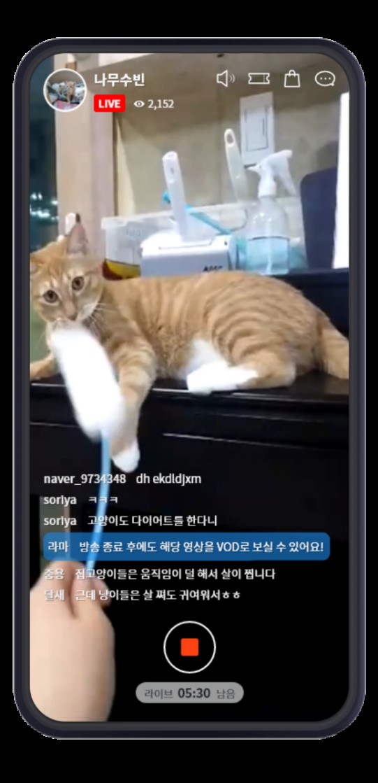 빅크리에이터 이미지