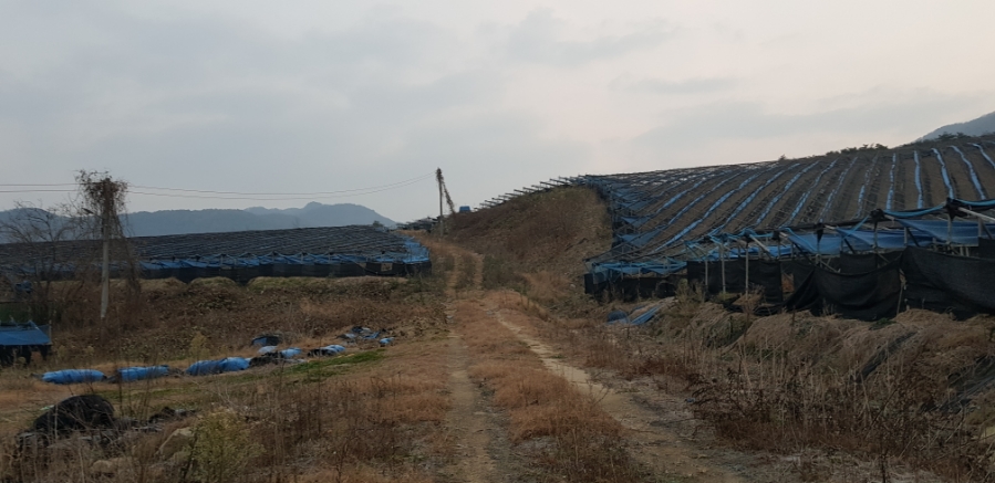 송죽슈퍼 이미지