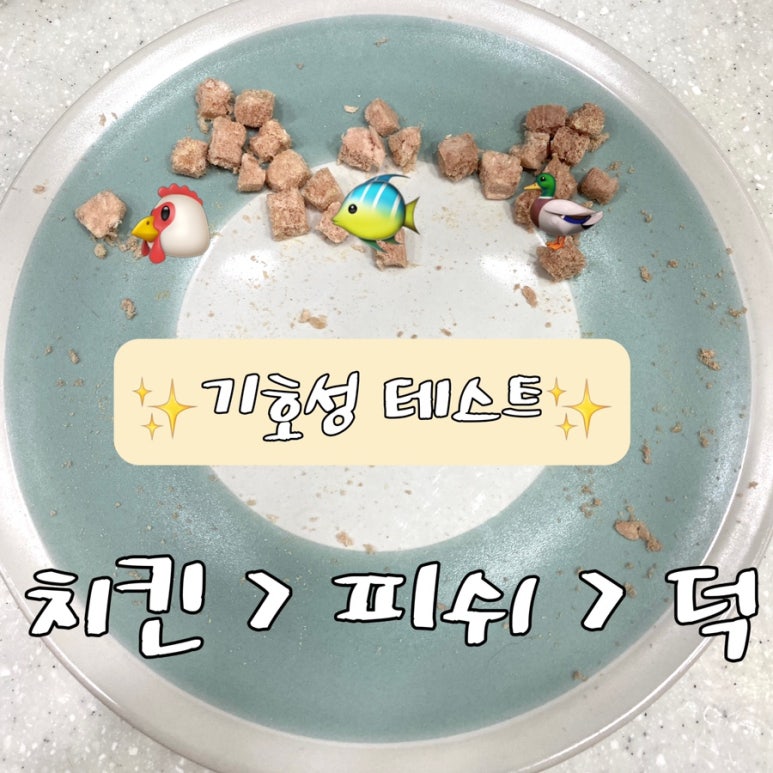 피쉬앤키친 이미지