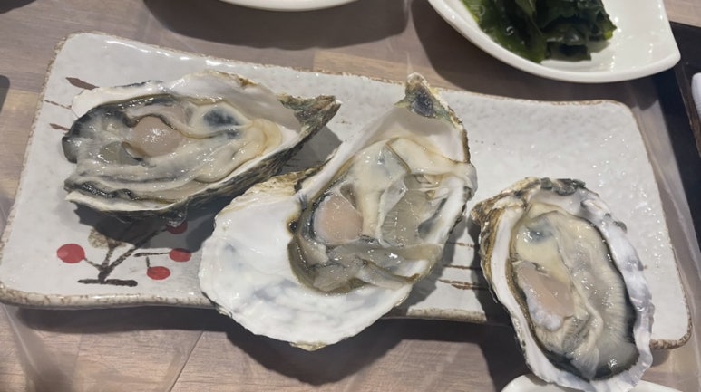 싱싱산오징어회타운 이미지