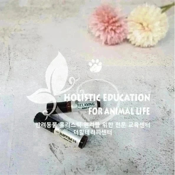 더힐테라피센터 이미지