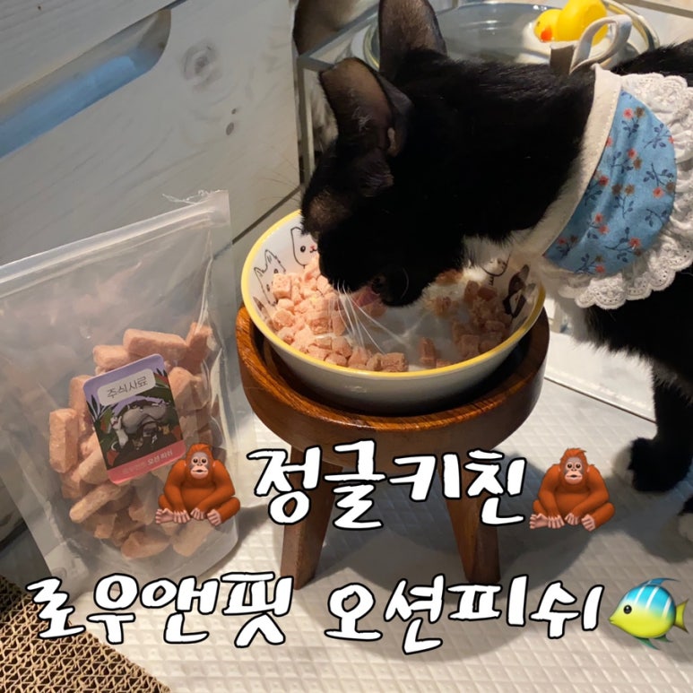 피쉬앤키친 이미지