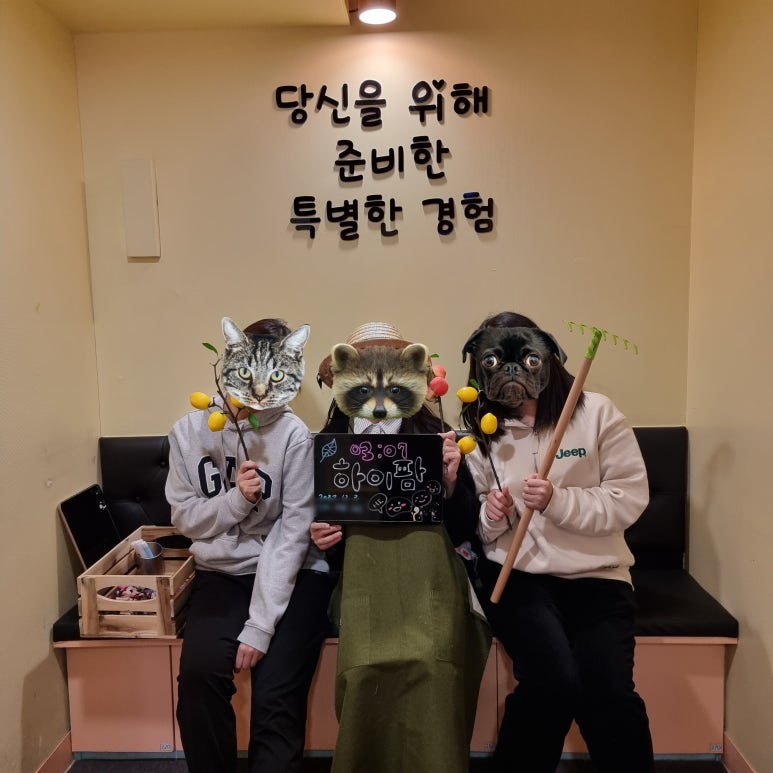 하이팜 이미지