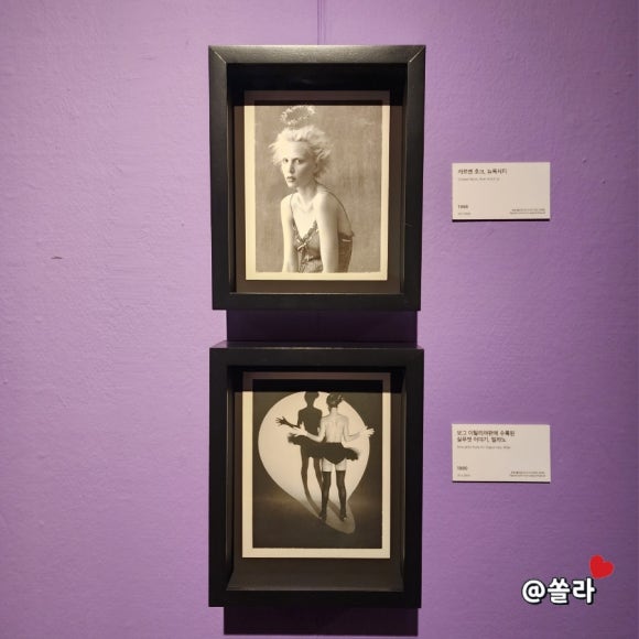 모텔보그 이미지