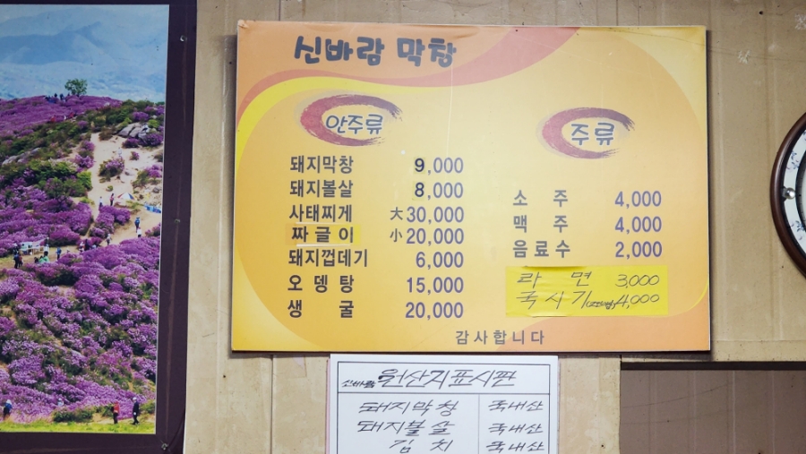 신바람돈바람 이미지