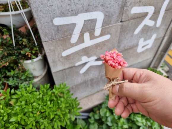 스완즈에그 이미지
