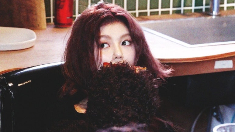 타코야킹 이미지