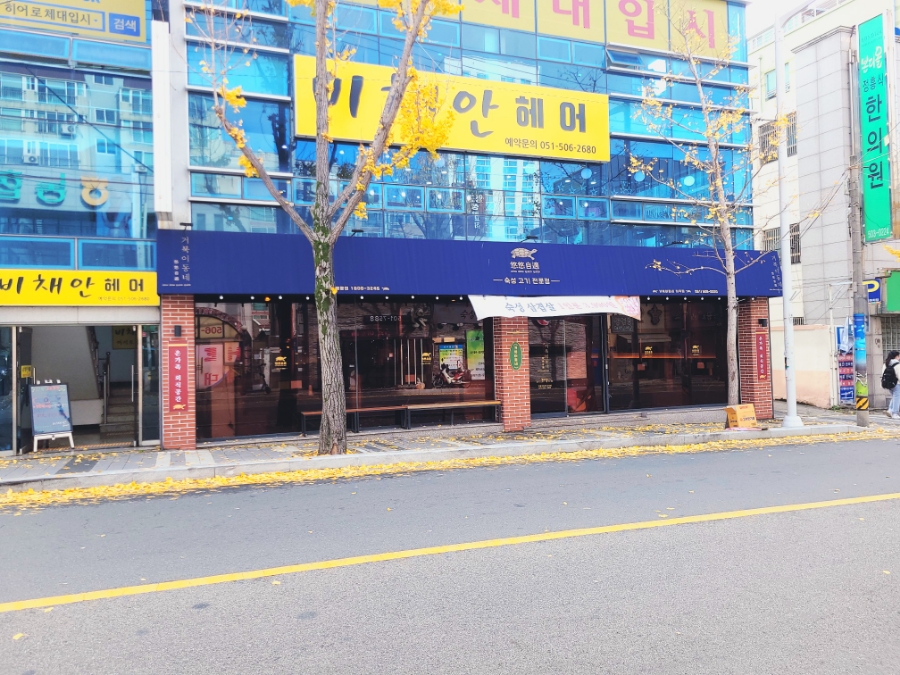거북이동네 이미지