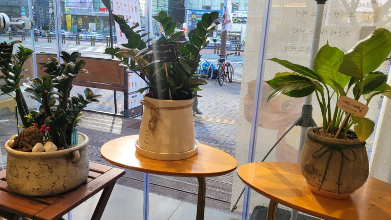 텐퍼센트 하단역점 이미지