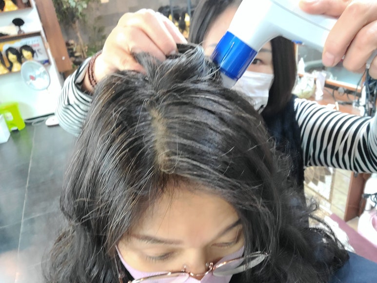 그랜드가발 이미지