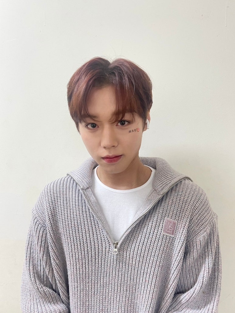블루드림미디어 이미지