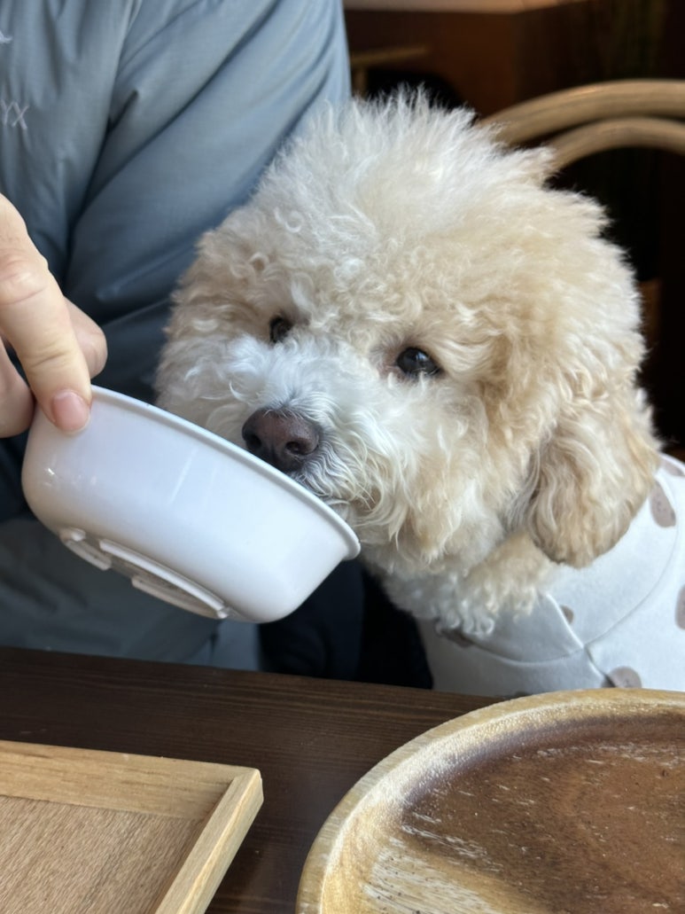 경카페 이미지