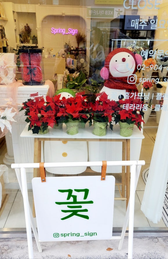 스프링싸인 이미지